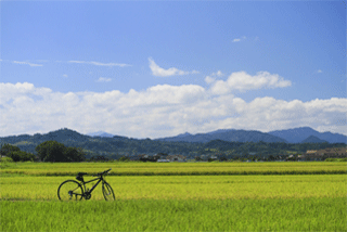 自転車のある風景の写真